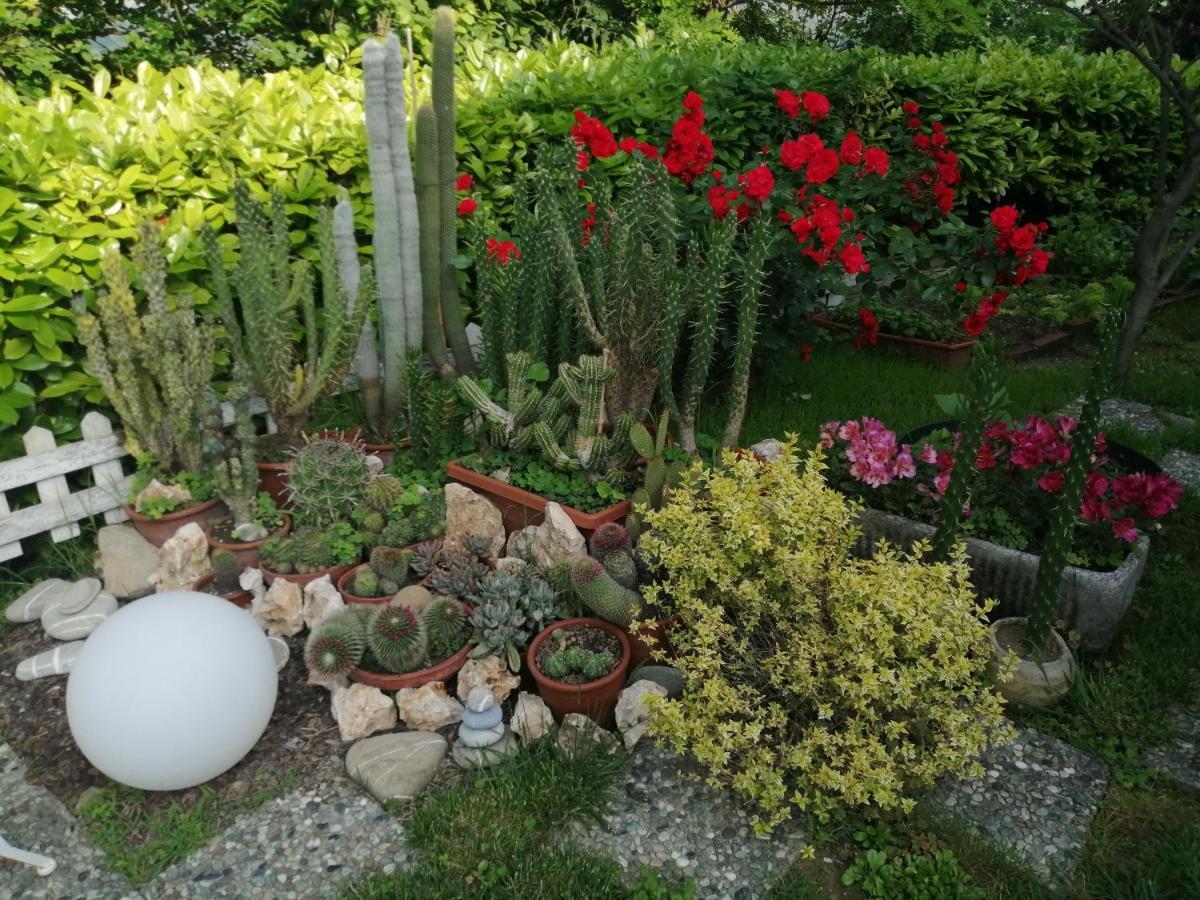 La Terrazza Sul Monferrato Διαμέρισμα Ozzano Monferrato Εξωτερικό φωτογραφία